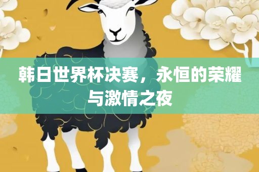 韩日世界杯决赛，永恒的荣耀与激情之夜