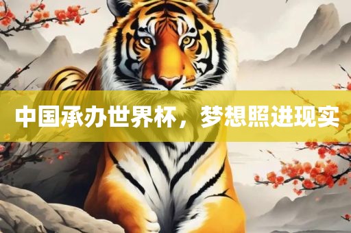 中国承办世界杯，梦想照进现实