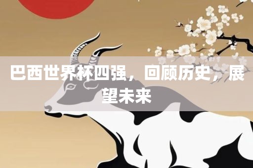 巴西世界杯四强，回顾历史，展望未眉山市正发家政服务有限公司来