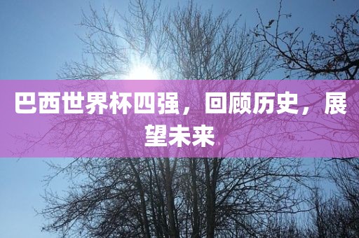 巴西世界杯四强眉山市正发家政服务有限公司，回顾历史，展望未来