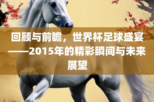 回顾与前瞻，世界杯足球盛宴——2015年的精彩瞬间与未来展望