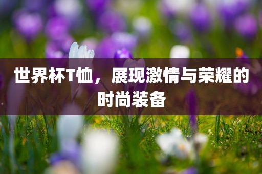 世界杯T恤，展现激情与荣耀的时尚装备眉山市正发家政服务有限公司