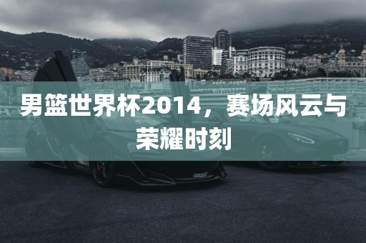 男篮世界杯2014，赛场风云与荣耀时刻眉山市正发家政服务有限公司