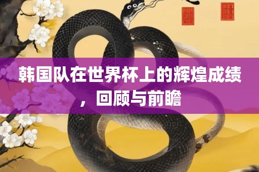 韩国队在世界杯上的辉煌成绩，回顾与前瞻