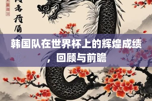 韩国队在世界杯上的辉煌成绩，回顾与前瞻眉山市正发家政服务有限公司