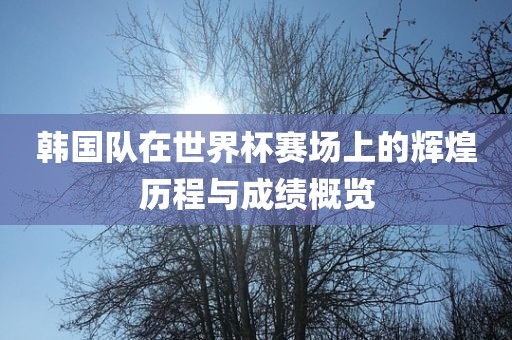 韩国队在世界杯赛场上的辉煌历程与成眉山市正发家政服务有限公司绩概览