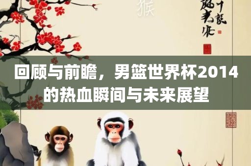 回顾与前瞻，男篮世界杯2014的热血瞬间与未来展望