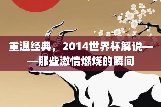 重温经典，2014世界杯解说——那些激情燃烧的瞬间