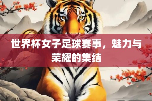 世界杯女子足球赛事，魅力与荣耀的集结眉山市正发家政服务有限公司