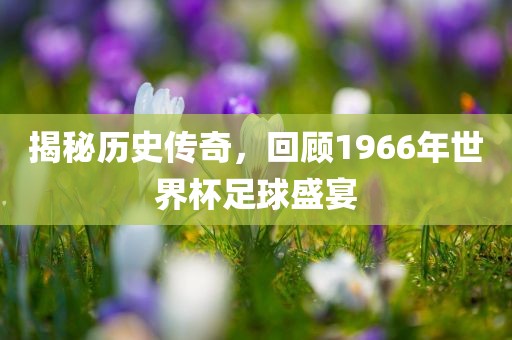 揭秘历史传奇，回顾1966年世界杯足球盛宴眉山市正发家政服务有限公司