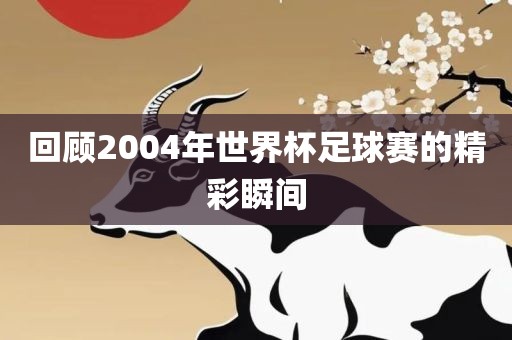 回顾2004年世界杯足球赛的精彩瞬间