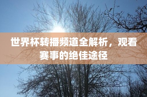 世界杯转播频道全解析，观看赛事的绝佳途径眉山市正发家政服务有限公司
