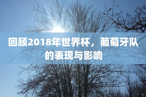回顾2018年世界杯，葡萄牙队的表现与影响