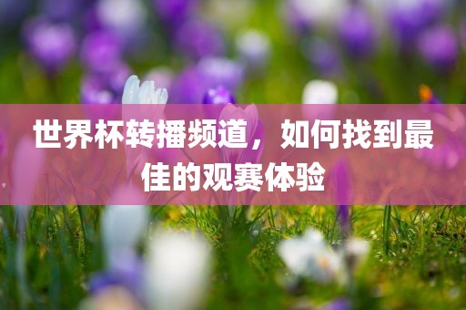 世界杯转播频道，如何找到最佳的观赛体验