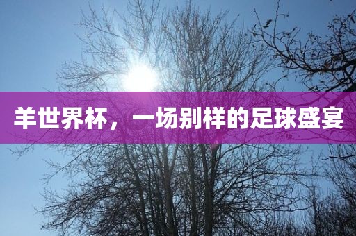 羊世界杯，一场别样的足球盛宴眉山市正发家政服务有限公司