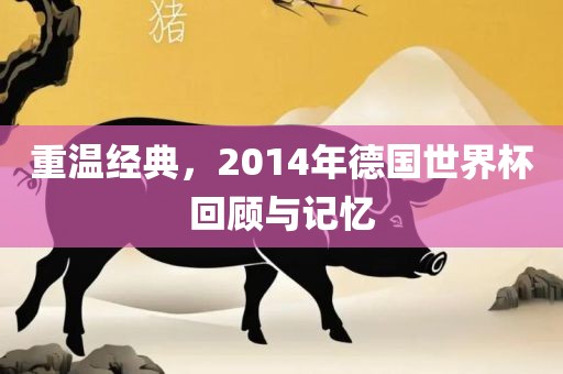 重温经典，2014年德国世界杯回顾与记忆