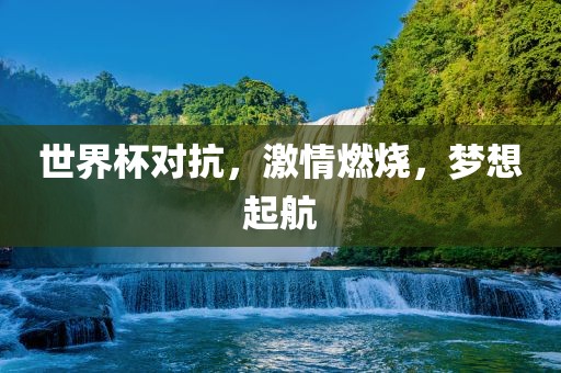世界杯对抗，激情燃烧，梦想起航眉山市正发家政服务有限公司
