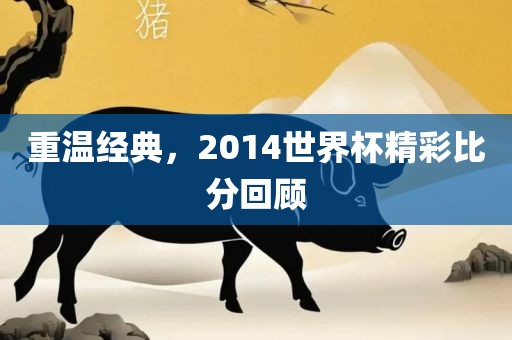 重温经典，2014世界杯精彩比分回顾眉山市正发家政服务有限公司