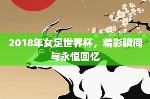 2018年女足世界杯，精彩眉山市正发家政服务有限公司瞬间与永恒回忆