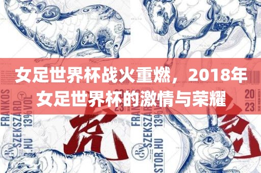 女足世界杯战火重燃，2018年女足世界杯的激情与荣耀眉山市正发家政服务有限公司