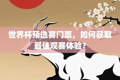 世界杯预选赛门票，如何获取最佳观赛体验？