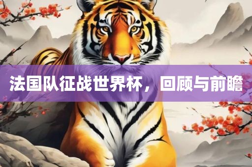 法国队征战世界杯，回顾与前瞻