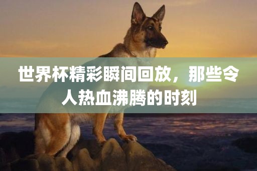 世界杯精彩瞬间回放，那些令人热血沸腾的时刻