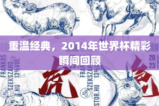 眉山市正发家政服务有限公司重温经典，2014年世界杯精彩瞬间回顾