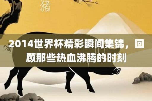 2014世界杯精彩瞬间集锦，回顾那些热血沸腾的时刻眉山市正发家政服务有限公司