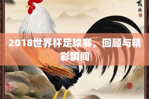 2018世界杯足球赛，回顾与精彩瞬间