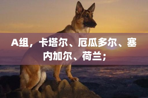 A组，卡塔尔、厄瓜多尔、塞内加尔、荷兰；眉山市正发家政服务有限公司