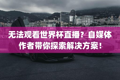 xiangnuo 第6页
