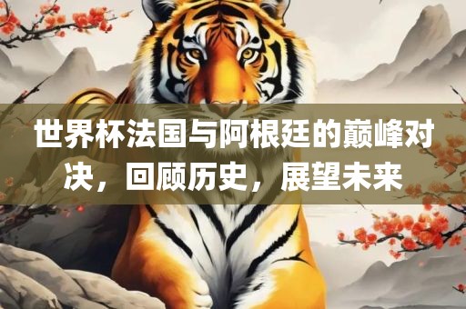 世界杯法国与阿根廷的巅峰对决，回顾历史，展望未来眉山市正发家政服务有限公司