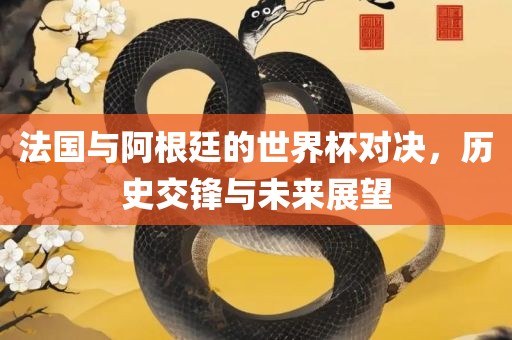 法国与阿根廷的世界杯对决，历史交锋与未来展望眉山市正发家政服务有限公司