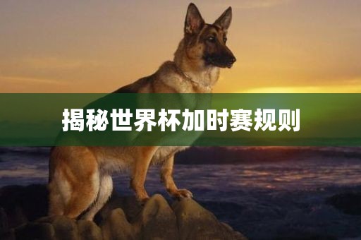 揭秘世界杯加时赛规则眉山市正发家政服务有限公司