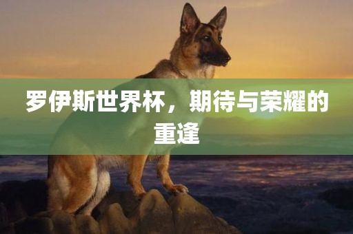 罗伊斯世界杯，期待与荣耀的重逢