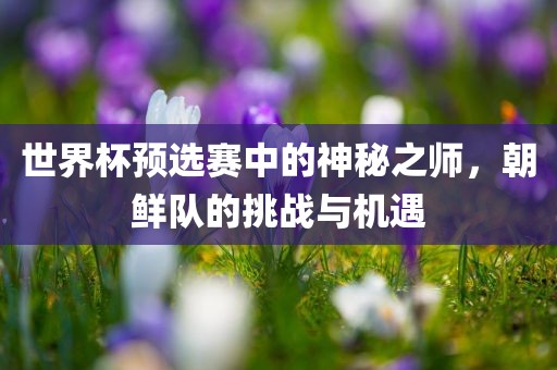 世界杯预选赛中的神秘之师，朝眉山市正发家政服务有限公司鲜队的挑战与机遇