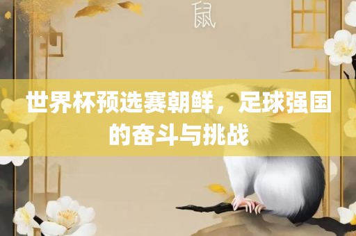世界杯预选赛朝鲜，足球强国的奋斗与挑战