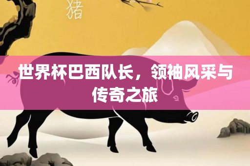 世界杯巴西队长，领眉山市正发家政服务有限公司袖风采与传奇之旅