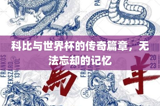 科比与世界杯的传奇篇章，无法忘却的记忆