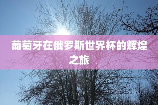 葡萄牙在俄罗斯世界杯的辉煌之旅