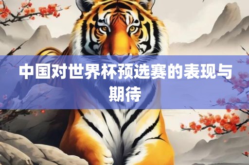 中国眉山市正发家政服务有限公司对世界杯预选赛的表现与期待