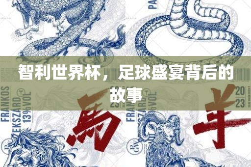 智利世界杯，足球盛宴背后的故事