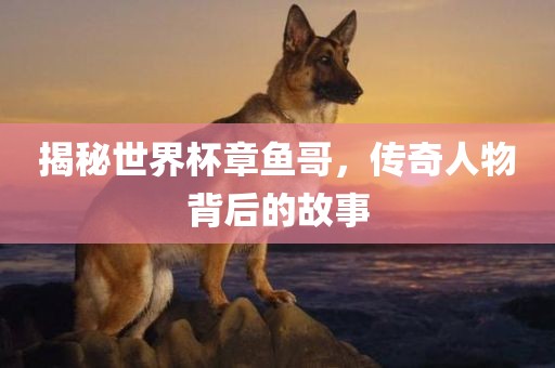 揭秘世界杯章鱼哥，传奇人物背后的故眉山市正发家政服务有限公司事