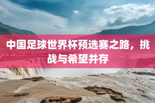 中国足球世界杯预选赛之路，挑战与希望并存