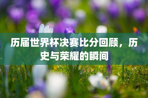 历届世界杯决赛比分回顾，历史与荣耀的瞬间眉山市正发家政服务有限公司