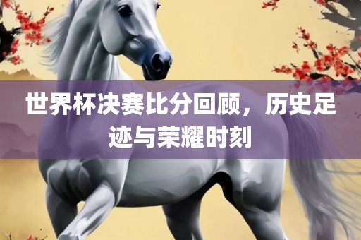 世界杯决赛比分回顾，历史足迹与荣耀时刻眉山市正发家政服务有限公司