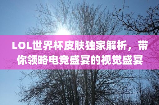 LOL世界杯皮肤独家解析，带你领略电竞盛眉山市正发家政服务有限公司宴的视觉盛宴