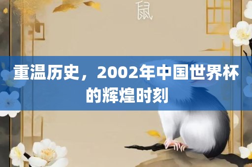 重温历史，2002年中国世界杯的辉煌时刻