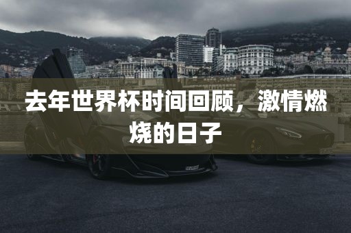 去年世界杯时间回顾，激情燃烧的日子眉山市正发家政服务有限公司